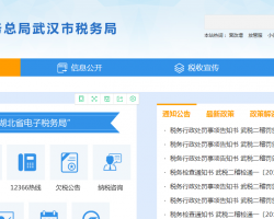 武漢市洪山區(qū)稅務(wù)局