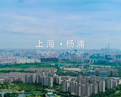 上海市楊浦區(qū)城市管理行政