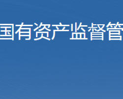 石家莊市人民政府國有資產(chǎn)監(jiān)督管理委員會