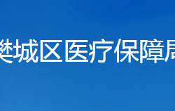 襄陽市樊城區(qū)醫(yī)療保障局