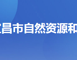 宜昌市自然資源和規(guī)劃局