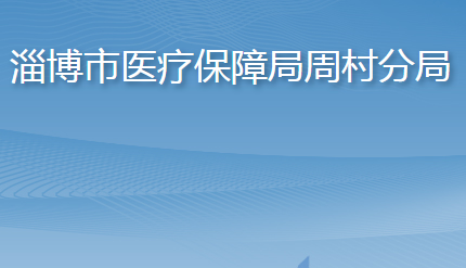 淄博市醫(yī)療保障局周村分局