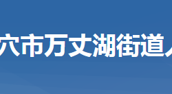 武穴市萬丈湖街道辦事處