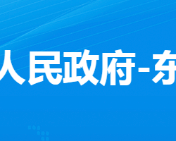 孝感市孝南區(qū)東山頭街道辦事處政務服務網(wǎng)