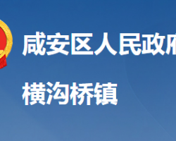 咸寧市咸安區(qū)橫溝橋鎮(zhèn)人民政府