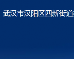 武漢市漢陽(yáng)區(qū)四新街道辦事處