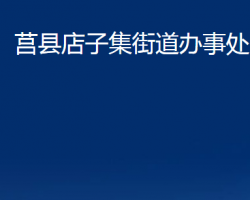 莒縣店子集街道辦事處政務(wù)服務(wù)網(wǎng)