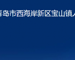 青島市西海岸新區(qū)寶山鎮(zhèn)人民政府