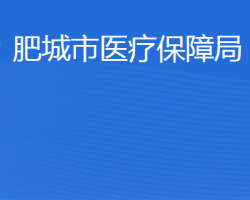 肥城市醫(yī)療保障局