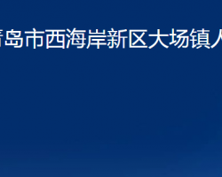 青島市西海岸新區(qū)大場(chǎng)鎮(zhèn)人民政府