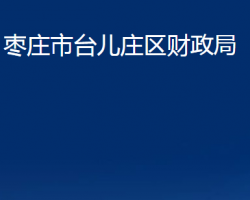 棗莊市臺兒莊區(qū)財政局