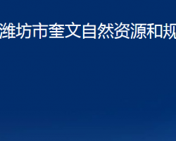 濰坊市奎文自然資源和規(guī)劃分局