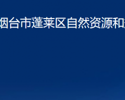 煙臺市蓬萊區(qū)自然資源和規(guī)劃局