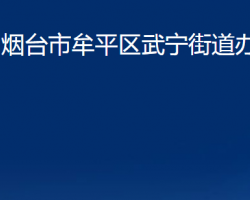 煙臺市牟平區(qū)武寧街道辦事處