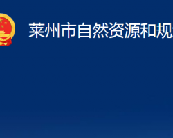 萊州市自然資源和規(guī)劃局