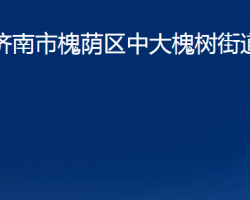 濟(jì)南市槐蔭區(qū)中大槐樹街道辦事處