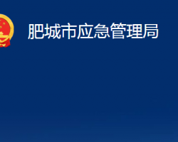 肥城市應急管理局