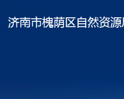 濟(jì)南市槐蔭區(qū)自然資源局