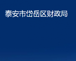 泰安市岱岳區(qū)財(cái)政局