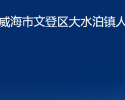 威海市文登區(qū)大水泊鎮(zhèn)人民政府