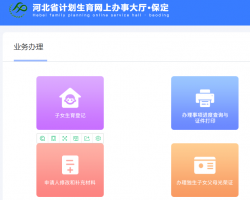 保定市計(jì)劃生育網(wǎng)上辦事大廳入口
