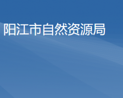 陽江市自然資源局