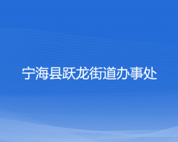 寧?？h躍龍街道辦事處