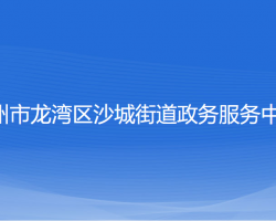 溫州市龍灣區(qū)沙城街道政務(wù)服務(wù)中心