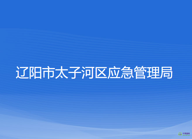 遼陽市太子河區(qū)應急管理局