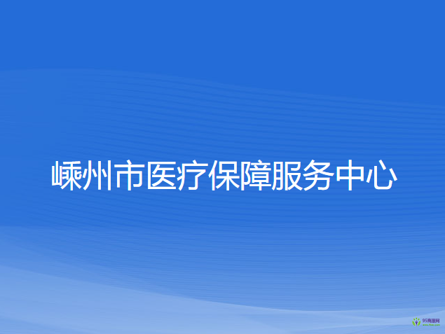 嵊州市醫(yī)療保障服務(wù)中心