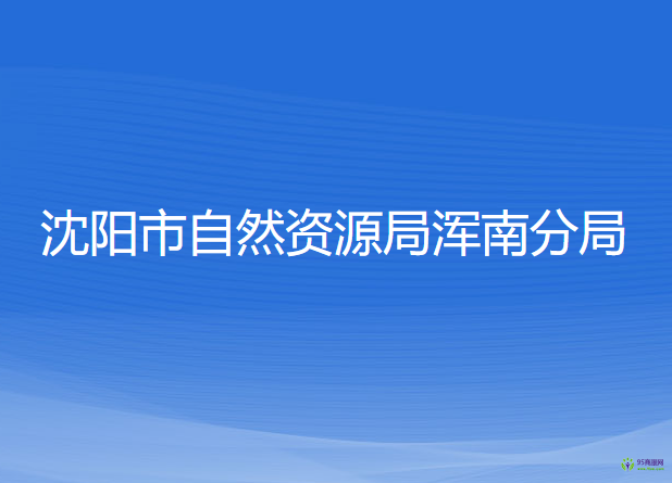 沈陽(yáng)市自然資源局渾南分局