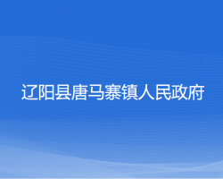 遼陽縣唐馬寨鎮(zhèn)人民政府政務服務網(wǎng)