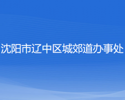 沈陽市遼中區(qū)城郊道辦事處