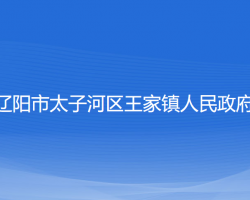 遼陽市太子河區(qū)王家鎮(zhèn)人民政府