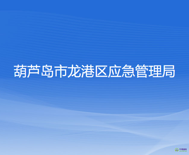 葫蘆島市龍港區(qū)應急管理局