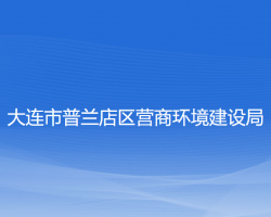 大連市普蘭店區(qū)營商環(huán)境建設(shè)局