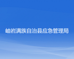 岫巖滿族自治縣應急管理局