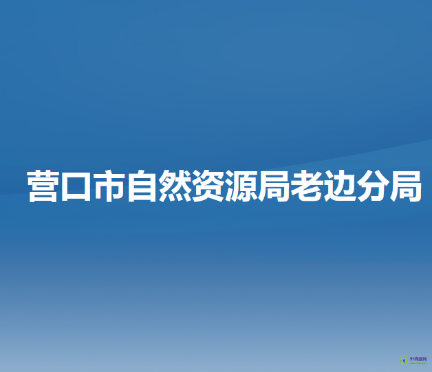 營(yíng)口市自然資源局老邊分局