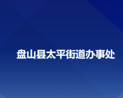 盤山縣太平街道辦事處政務服務網