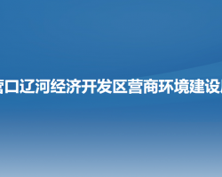 營口遼河經濟開發(fā)區(qū)?營商