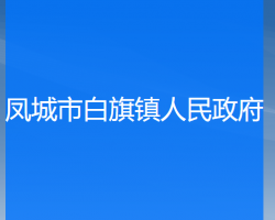 鳳城市白旗鎮(zhèn)人民政府