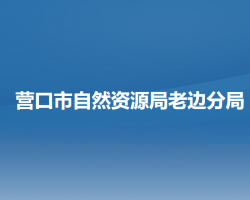 營口市自然資源局老邊分局