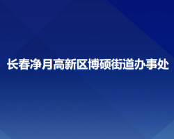 長(zhǎng)春凈月高新區(qū)博碩街道辦事處