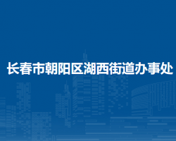 長春市朝陽區(qū)湖西街道辦事處