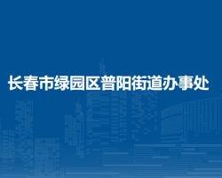 長春市綠園區(qū)普陽街道辦事處