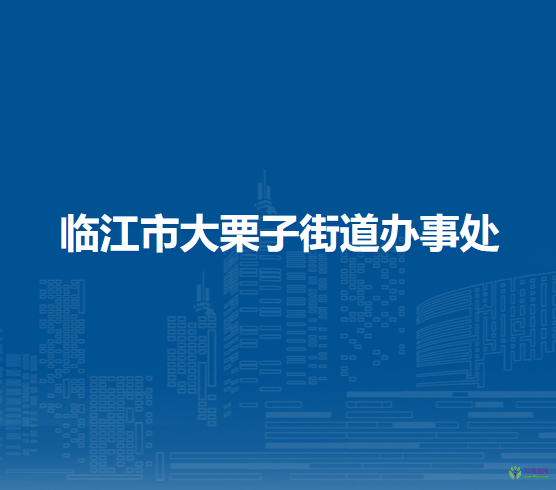 臨江市大栗子街道辦事處