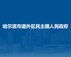 哈爾濱市道外區(qū)民主鎮(zhèn)人民政府