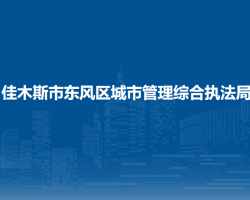 佳木斯市東風(fēng)區(qū)城市管理綜