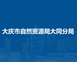 大慶市自然資源局大同分局