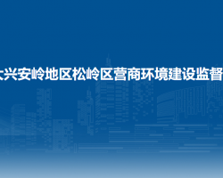 大興安嶺地區(qū)松嶺區(qū)營(yíng)商環(huán)境建設(shè)監(jiān)督局